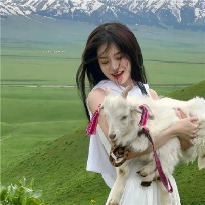 我的夏日恋曲